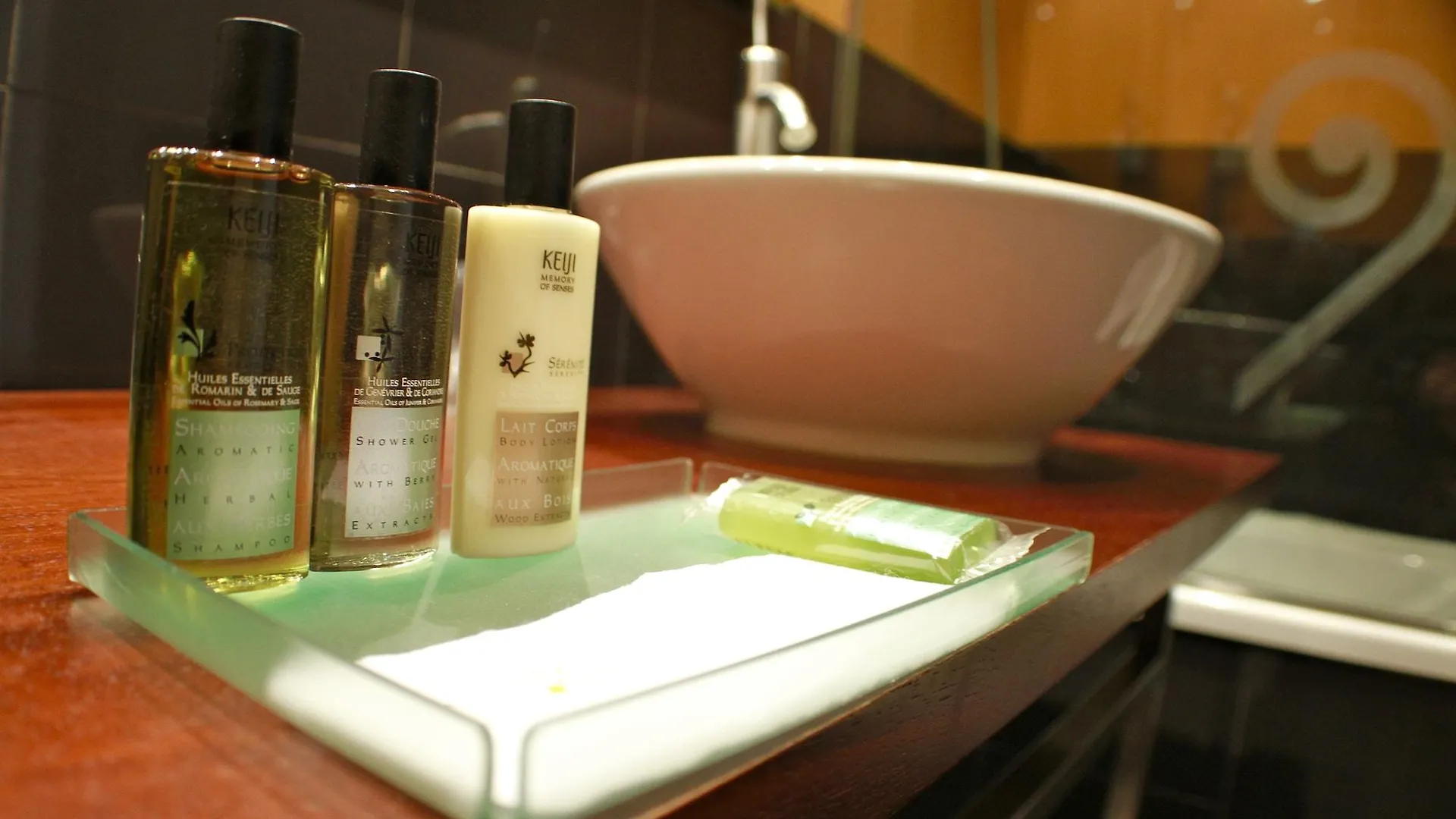 Hotel Sant Roc Solsona